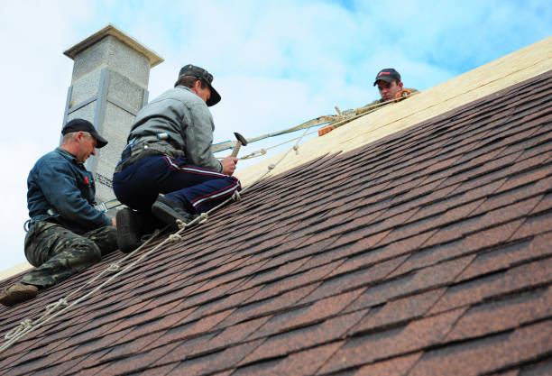 Best Roof Restoration Services  in Redlands, CO